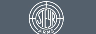 Steyr