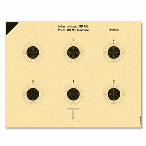 BDMP Scheibe Nr. 1 (reduziert) 25 m